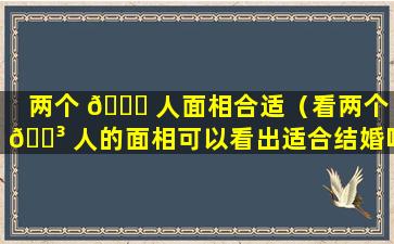 两个 🐝 人面相合适（看两个 🌳 人的面相可以看出适合结婚吗）